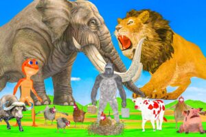 Monster lion mammoth vs mammoth elephant fighting cow Cartoon Gorilla Patila wild animal battle