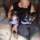 Perrita mamá agradece a un hombre por salvar a sus cachorros I El Dodo