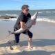 Persistent man rescues baby dolphin