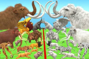 Prehistoric Mammals vs White(Albino) Mammals Itself vs White Mammoth vs Woolly Mammoth Animal Epic