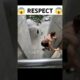 RESPECT MOMENT 😱💯🔥 | respect video | respect short 🔥💯 | #shorts  #shortsfeed