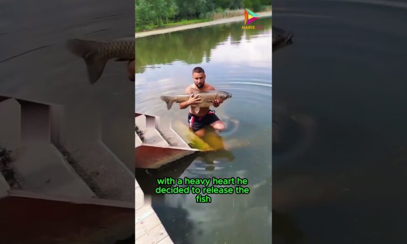 Releasing Fish for the Environment #animals #rescue #shortvideo #shorts