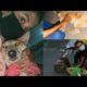 Rescued dog || saving animals || Nidhi Tiwari