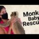 Rescued monkey || Nidhi Tiwari || Rescued animals