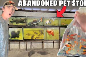 Saving Fish From Abandoned Pet Store!