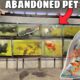 Saving Fish From Abandoned Pet Store!