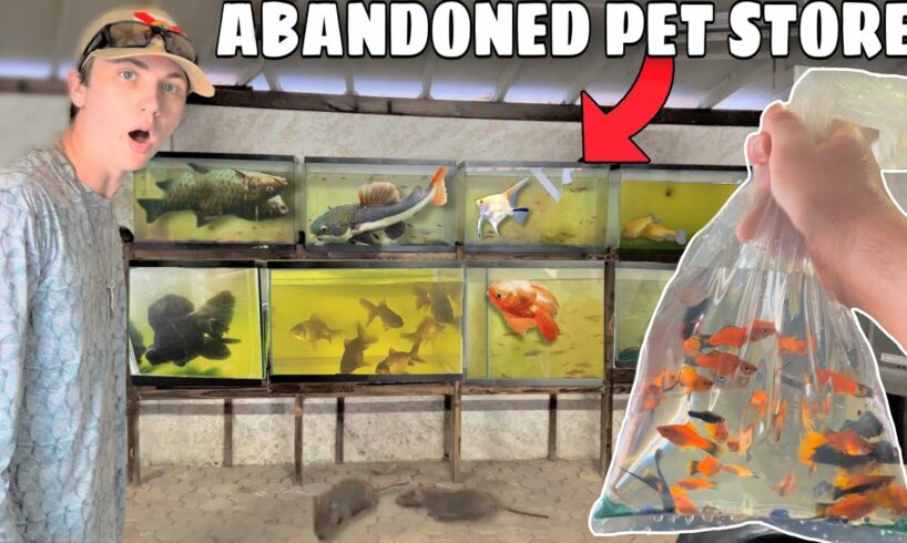 Saving Fish From Abandoned Pet Store!