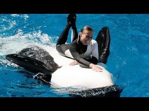 SeaWorld's Old Shamu "Believe" Show With Trainers in the Water!!!