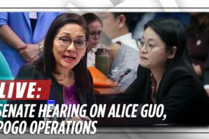 Senate resumes probe into Alice Guo, POGO operations | ABS-CBN News