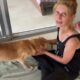 Shelter Volunteer Fell in Love with Senior Dog!  - Takis Shelter