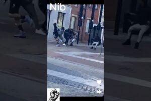 Southend-On-Sea, Southend, machete fight in broad daylight. 30/07/24