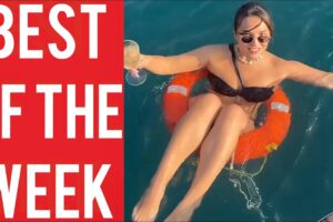 Swimming Fail and other funny videos! || Best fails of the week! || August 2024!