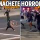 Terrifying moment machete-wielding thugs fight it out on busy seafront sparking chaos