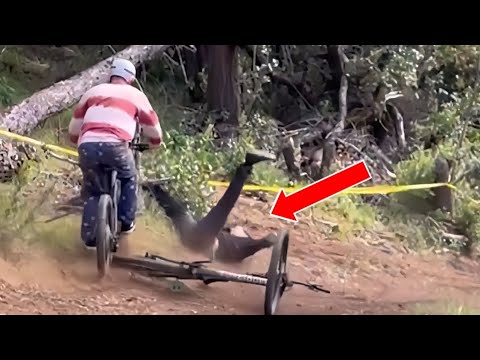 The Best Funny Stupid Fails Of The Week || Try Not To Laugh #fail #funny