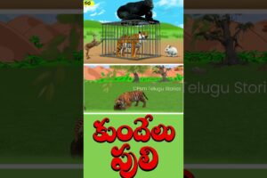 The Tiger Chase in the Maze with Cage Trap - Rabbit Trapped A Tiger 3D Animals Comedy Videos -01