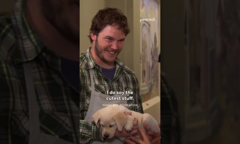 The cutest puppy takes a liking to Ron | Parks and Recreation