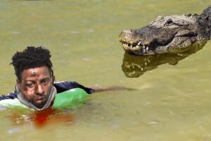 This Man Saved A Crocodile From Dying. Years Later, The Unexpected Happened