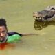 This Man Saved A Crocodile From Dying. Years Later, The Unexpected Happened