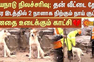 Wayanad Landslide | 💔Dog Searching Home | Kerala Flood | Kerala | Wayanad Flood | Sun News