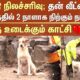 Wayanad Landslide | 💔Dog Searching Home | Kerala Flood | Kerala | Wayanad Flood | Sun News