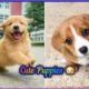 World's CUTEST Puppies 🐶 Dogs 🐕 | 30min Film Relaxing & Chillout | Deepsleep & Mental Massage