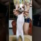 aku juga bisa joged dong 🐶 #chihuahua #tiktok #pets #doglover #cute #puppies #shorts #video