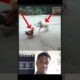 dog and cheken unbelievable fights #trends #fightscene #viral