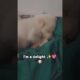 you don't have to like me🥹 #cute #dog #shorts #viral #viralshorts #trendingshorts #youtubeshorts