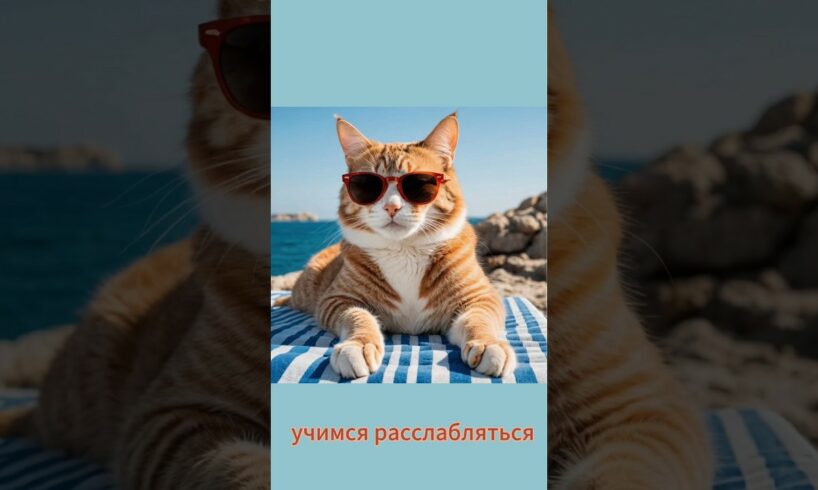 учимся расслабляться) #домашниеживотные #юмор #прикол #cat #моипитомцы #кот #funny #котики #кошки