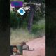 कैसे लोंबड्डी ने चीता से दुरी बना कर अपनी भलाई समझी।#viral shorts #wild animal #forest