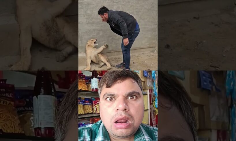 शेर को काबू करना मुस्किल है😲 #trending #fun #duet #animals #shorts