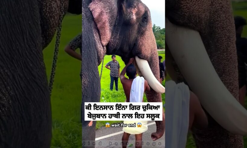 ਕੀ ਇਨਸਾਨ ਇੰਨਾ ਗਿਰ ਚੁਕਿਆ 😡 #viral #animals #sad #shorts #yt