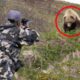 12 Times Hunters Messed With The Wrong Animals (Part 4)