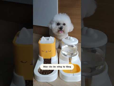 Cute Dog Collection, The World’s Cutest Puppies #dog #puppies #puppy #video #cute #cutest