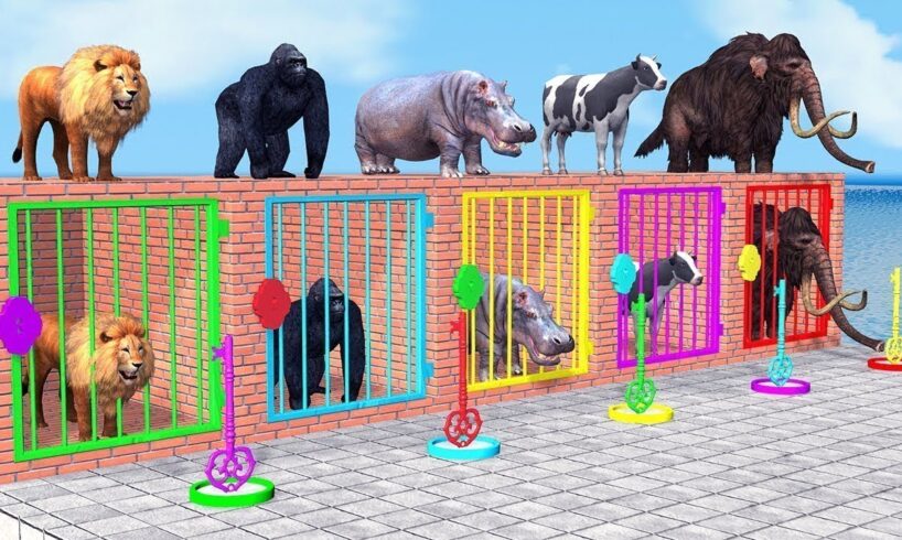 Long Slide Game With Elephant Gorilla Buffalo Hippopotamus Tiger - 3d Animal Game - Funny 3d Animals