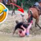 Funniest Fails Of The Week