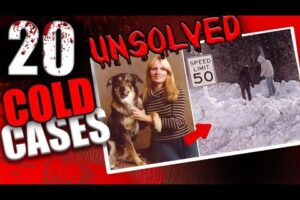 20 Cold Cases That Were Solved In 2024 | True Crime Documentary | Compilation