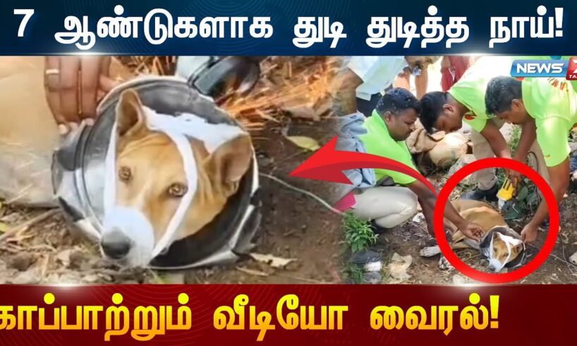 7 ஆண்டுகளாக துடி துடித்த நாய்! காப்பாற்றிய தீயணைப்புத் துறை! | Dog Rescue Video