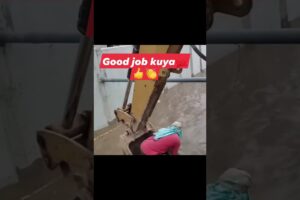 😮 Amazing Dog rescue from flood with Backhoe | σκύλος ит 개 hond イヌ câine 고양이 гурба ネコ 猫 بلی kočka 貓