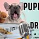 🐶 Best of TikTok Cutest Puppies on Drums 3! 🥁 #PuppyDrummers #cutecompilation