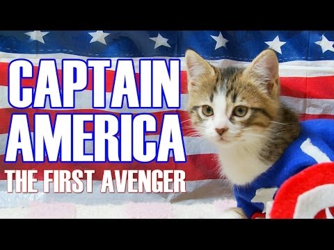 Captain America: The First Avenger (Cute Kitten Version)