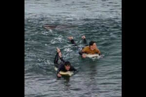 Caught on Camera: Shark bites surfer's leg in Australia