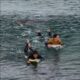 Caught on Camera: Shark bites surfer's leg in Australia