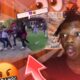 Crazy HOOD FIGHT(THE￼ WHOLE BLOCK)