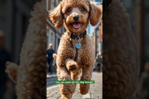 Cute Puppies Running towards You! #dogs #animals