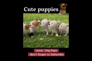 Cute puppies #cinema #movieexplained #shortvideo #shorts