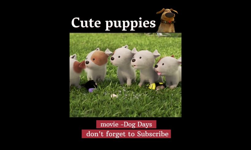 Cute puppies #cinema #movieexplained #shortvideo #shorts