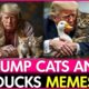 Donald Trump Cats and Ducks Memes Goes Viral