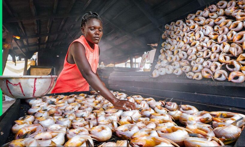 Eating in Africa's WILDEST Fish Market!! Seafood Factory!!