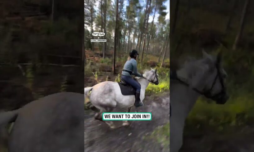 Family have the most wholesome time horseback riding 🥰 🐴       🎥: Instagram/stall_bergshamra